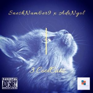 SneshNum6er9, Adonyol, 3 CoolCatz, mp3, download, datafilehost, toxicwap, fakaza, Gqom Beats, Gqom Songs, Gqom Music, Gqom Mix, House Music