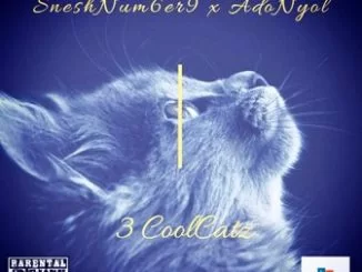 SneshNum6er9, Adonyol, 3 CoolCatz, mp3, download, datafilehost, toxicwap, fakaza, Gqom Beats, Gqom Songs, Gqom Music, Gqom Mix, House Music