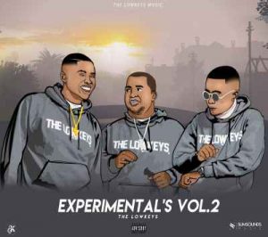 The Lowkeys 012, Experimentals Vol2., mp3, download, datafilehost, toxicwap, fakaza, Afro House, Afro House 2019, Afro House Mix, Afro House Music, Afro Tech, House Music