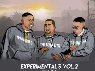The Lowkeys 012, Experimentals Vol2., mp3, download, datafilehost, toxicwap, fakaza, Afro House, Afro House 2019, Afro House Mix, Afro House Music, Afro Tech, House Music