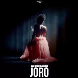 Wizkid , Joro, mp3, download, datafilehost, toxicwap, fakaza, Afro House, Afro House 2019, Afro House Mix, Afro House Music, Afro Tech, House Music