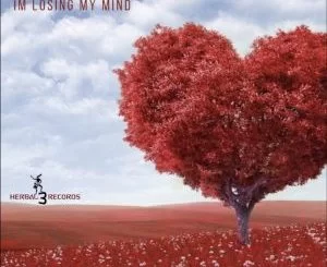 Aero Manyelo, Phumy X, Im Losing My Mind , Cuebur Remix, mp3, download, datafilehost, toxicwap, fakaza, Afro House, Afro House 2019, Afro House Mix, Afro House Music, Afro Tech, House Music