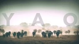 Andrea Carrozza, YAO, mp3, download, datafilehost, toxicwap, fakaza, Afro House, Afro House 2019, Afro House Mix, Afro House Music, Afro Tech, House Music