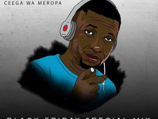 Ceega, Black Friday Special Mix Vol.3, mp3, download, datafilehost, toxicwap, fakaza, Afro House, Afro House 2019, Afro House Mix, Afro House Music, Afro Tech, House Music