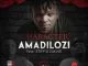 Character, Amadilozi, Stiff, Zakwe, mp3, download, datafilehost, toxicwap, fakaza, Afro House, Afro House 2019, Afro House Mix, Afro House Music, Afro Tech, House Music
