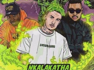 Costa Titch, Nkalakatha, Remix, AKA, Riky Rick, mp3, download, datafilehost, toxicwap, fakaza, Hiphop, Hip hop music, Hip Hop Songs, Hip Hop Mix, Hip Hop, Rap, Rap Music