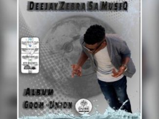 Deejay Zebra SA MusiQ, Welukhunjana, Boi Tee, mp3, download, datafilehost, toxicwap, fakaza, Gqom Beats, Gqom Songs, Gqom Music, Gqom Mix, House Music