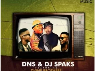 Dns, DJ Sparks, Dvine Brothers, Gold Digger, download ,zip, zippyshare, fakaza, EP, datafilehost, album, House Music, Amapiano, Amapiano 2019, Amapiano Mix, Amapiano Music