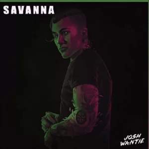 Josh Wantie, Savanna, Official Audio, mp3, download, datafilehost, toxicwap, fakaza, Afro House, Afro House 2019, Afro House Mix, Afro House Music, Afro Tech, House Music