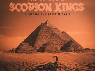 Kabza De Small, Dj Maphorisa, The Return Of Scorpion Kings, Cover Artwork, Tracklist, download ,zip, zippyshare, fakaza, EP, datafilehost, album, House Music, Amapiano, Amapiano 2019, Amapiano Mix, Amapiano Music