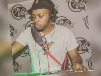 Kelvin Momo, Pine Tree, Soulified Mix, mp3, download, datafilehost, toxicwap, fakaza, House Music, Amapiano, Amapiano 2019, Amapiano Mix, Amapiano Music