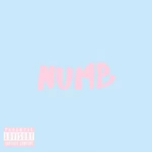 Lafreshman, Numb, Mellow, mp3, download, datafilehost, toxicwap, fakaza, Afro House, Afro House 2019, Afro House Mix, Afro House Music, Afro Tech, House Music