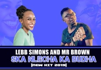 Lebb Simons, Mr Brown, Ska Nlecha Ka Budha, mp3, download, datafilehost, toxicwap, fakaza, Afro House, Afro House 2019, Afro House Mix, Afro House Music, Afro Tech, House Music