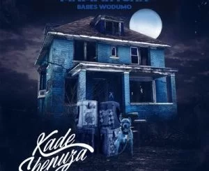 Mampintsha, Kade Sbenuza, Babes Wodumo, BizaWethu, Mr Thela, T Man, mp3, download, datafilehost, toxicwap, fakaza, Gqom Beats, Gqom Songs, Gqom Music, Gqom Mix, House Music