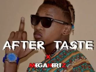 MegaHertz , After Taste, mp3, download, datafilehost, toxicwap, fakaza, Afro House, Afro House 2019, Afro House Mix, Afro House Music, Afro Tech, House Music