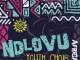 Ndlovu Youth Choir, Africa, download ,zip, zippyshare, fakaza, EP, datafilehost, album, Kwaito Songs, Kwaito, Kwaito Mix, Kwaito Music, Kwaito Classics, Pop Music, Pop, Afro-Pop
