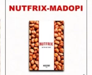 Nutfrix, Madopi, Original Mix, mp3, download, datafilehost, toxicwap, fakaza, Afro House, Afro House 2019, Afro House Mix, Afro House Music, Afro Tech, House Music