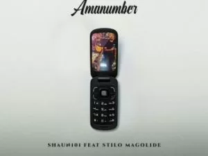 Shaun101, AmaNumber, Stilo Magolide, mp3, download, datafilehost, toxicwap, fakaza, Afro House, Afro House 2019, Afro House Mix, Afro House Music, Afro Tech, House Music