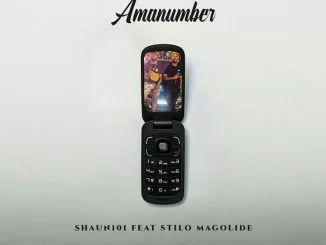 Shaun101, AmaNumber, Stilo Magolide, mp3, download, datafilehost, toxicwap, fakaza, Afro House, Afro House 2019, Afro House Mix, Afro House Music, Afro Tech, House Music