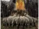 Stogie T, The Empire Of Sheep ( Cover Artwork & Tracklist), The Empire Of Sheep, download ,zip, zippyshare, fakaza, EP, datafilehost, album, Hiphop, Hip hop music, Hip Hop Songs, Hip Hop Mix, Hip Hop, Rap, Rap Music