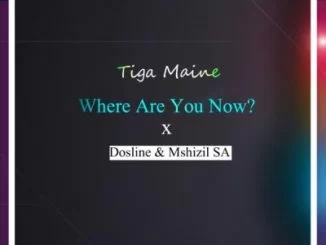 Tiga Maine, Where Are You Now, Dosline , Mshizil SA, mp3, download, datafilehost, toxicwap, fakaza, Afro House, Afro House 2019, Afro House Mix, Afro House Music, Afro Tech, House Music