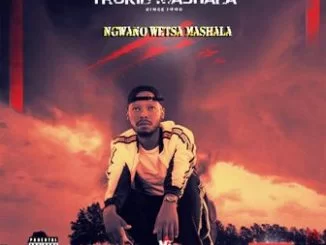 Trokid Mashala, Nwano Wetsa Mashala, mp3, download, datafilehost, toxicwap, fakaza, Afro House, Afro House 2019, Afro House Mix, Afro House Music, Afro Tech, House Music