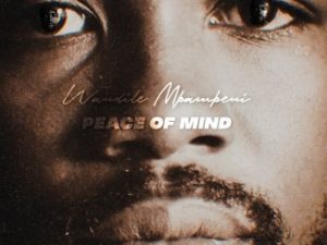 Wandile Mbambeni, Peace of Mind, mp3, download, datafilehost, toxicwap, fakaza, R&B/Soul, R&B/Soul Mix, R&B/Soul Music, R&B/Soul Classics, R&B, Soul, Soul Mix, Soul Classics