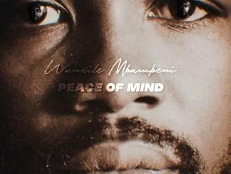 Wandile Mbambeni, Peace of Mind, mp3, download, datafilehost, toxicwap, fakaza, R&B/Soul, R&B/Soul Mix, R&B/Soul Music, R&B/Soul Classics, R&B, Soul, Soul Mix, Soul Classics