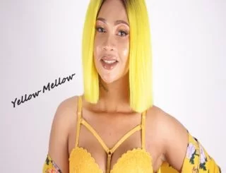Yellow Mellow, Ama-menemene, mp3, download, datafilehost, toxicwap, fakaza, Gqom Beats, Gqom Songs, Gqom Music, Gqom Mix, House Music
