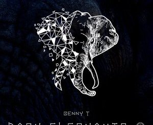 Benny T, Dark Elephants, Original Mix, mp3, download, datafilehost, toxicwap, fakaza, Afro House, Afro House 2019, Afro House Mix, Afro House Music, Afro Tech, House Music