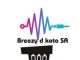 Breezy D Kota, Log Drum Fire, mp3, download, datafilehost, toxicwap, fakaza, House Music, Amapiano, Amapiano 2019, Amapiano Mix, Amapiano Music, House Music