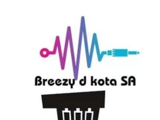 Breezy D Kota, Log Drum Fire, mp3, download, datafilehost, toxicwap, fakaza, House Music, Amapiano, Amapiano 2019, Amapiano Mix, Amapiano Music, House Music