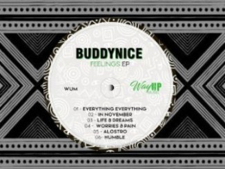 Buddynice, Feelings, download ,zip, zippyshare, fakaza, EP, datafilehost, album, Deep House Mix, Deep House, Deep House Music, Deep Tech, Afro Deep Tech, House Music