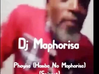 Dj Maphorisa ,Phoyisa, Hamba No Maphorisa, Snippet, mp3, download, datafilehost, toxicwap, fakaza, House Music, Amapiano, Amapiano 2019, Amapiano Mix, Amapiano Music