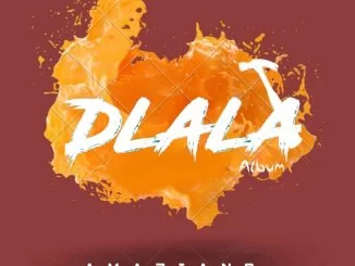 Dj Snowboy, Dlala Album, download ,zip, zippyshare, fakaza, EP, datafilehost, album, House Music, Amapiano, Amapiano 2019, Amapiano Mix, Amapiano Music