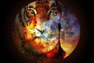 Echo Deep, Viiiictor May, Bayabaleka, Original Mix, mp3, download, datafilehost, toxicwap, fakaza, Afro House, Afro House 2019, Afro House Mix, Afro House Music, Afro Tech, House Music