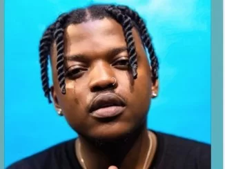 FOCALISTIC, DJ Maphorisa, Phoyisa, mp3, download, datafilehost, toxicwap, fakaza, House Music, Amapiano, Amapiano 2019, Amapiano Mix, Amapiano Music