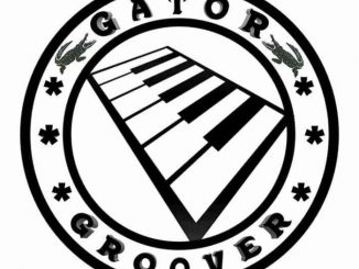 Gator Groover , Pull Up, mp3, download, datafilehost, toxicwap, fakaza, Afro House, Afro House 2019, Afro House Mix, Afro House Music, Afro Tech, House Music