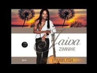 Jaiva Zimnike, Hamba Fish, mp3, download, datafilehost, toxicwap, fakaza, Afro House, Afro House 2019, Afro House Mix, Afro House Music, Afro Tech, House Music