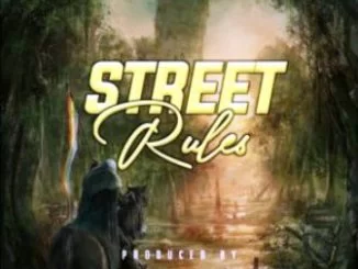 KingDepzin, DJ Koyzin, Street Rules, mp3, download, datafilehost, toxicwap, fakaza, Gqom Beats, Gqom Songs, Gqom Music, Gqom Mix, House Music