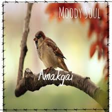 Moody Soul, Amakgai, Amapiano Edit, mp3, download, datafilehost, toxicwap, fakaza, House Music, Amapiano, Amapiano 2019, Amapiano Mix, Amapiano Music, House Music