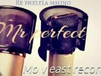 Mr Perfect, DJ M2C, Ungowam, Kay lap , Dj La Bengwa, mp3, download, datafilehost, toxicwap, fakaza, House Music, Amapiano, Amapiano 2019, Amapiano Mix, Amapiano Music, House Music