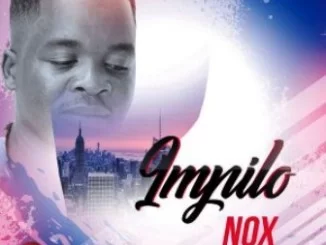 The Nox , Izandle moyeni, mp3, download, datafilehost, toxicwap, fakaza, Gqom Beats, Gqom Songs, Gqom Music, Gqom Mix, House Music