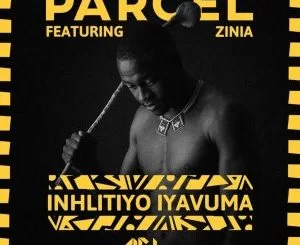 Parcel , Zinia, Inhlitiyo iyavuma , Parcel Dub, mp3, download, datafilehost, toxicwap, fakaza, Afro House, Afro House 2019, Afro House Mix, Afro House Music, Afro Tech, House Music
