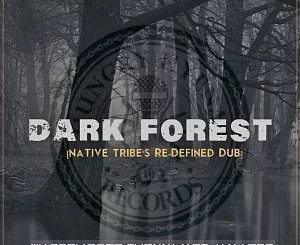 Warren Deep, Thexy LX, Jay Afro, Dark Forest, Native Tribe’s Re-Defined Afro Remix, mp3, download, datafilehost, toxicwap, fakaza, Afro House, Afro House 2019, Afro House Mix, Afro House Music, Afro Tech, House Music