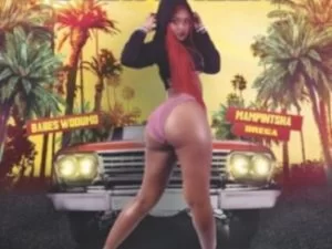 Babes Wodumo, Otshwaleni, Mampintsha, Drega, mp3, download, datafilehost, toxicwap, fakaza, Gqom Beats, Gqom Songs, Gqom Music, Gqom Mix, House Music