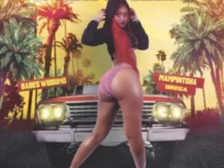 Babes Wodumo, Otshwaleni, Mampintsha, Drega, mp3, download, datafilehost, toxicwap, fakaza, Gqom Beats, Gqom Songs, Gqom Music, Gqom Mix, House Music