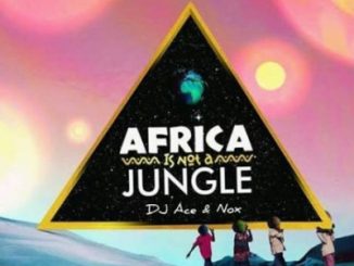 DJ Ace , Real Nox, Africa is not a Jungle, mp3, download, datafilehost, toxicwap, fakaza, Afro House, Afro House 2020, Afro House Mix, Afro House Music, Afro Tech, House Music