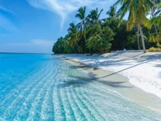 DJ Ace , Peace of Mind Vol 01,Slow Jam Mix, mp3, download, datafilehost, toxicwap, fakaza, Afro House, Afro House 2020, Afro House Mix, Afro House Music, Afro Tech, House Music