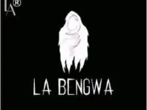 DJ Labengwa, Sbono, Vocal Mix, DJ Black Low, mp3, download, datafilehost, toxicwap, fakaza, Afro House, Afro House 2020, Afro House Mix, Afro House Music, Afro Tech, House Music